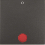 BER S1 Wippe Kontroll           16241606 