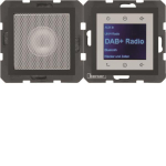 Berker Radio Touch              29801606 