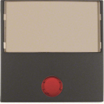 Berker Wippe m.5 beiliegenden   16961606 