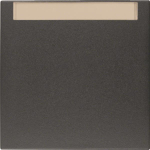 BER S1 Wippe Aus/Wechsel mit    16261606 