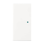 BJ Wippe 2-fach blind        6230-20-914 