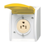 BJ Busch-Nema-Steckdose 15A   3015EWN-54 