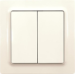 Eltako Funktaster pws        F4T55EOR-pg 