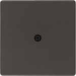 Berker Zentralstück             10196086 