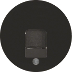 Berker Zentralstück             11702045 