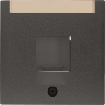 Berker Zentralstück m.Staub-    11701606 