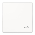 JG Wippe Tür                    LS990TWW 