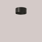 RZB D 165 H 68 Sichtfarbe:   982917.0031 