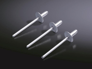Rittal Aluminium-Niet 1=100   TS 8800531 