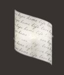 TRIO Wandleuchte SIGNA,1xE27   202500101 