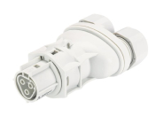 Wieland Bu. T. m.     RST20I3F B2 ZRX GL 