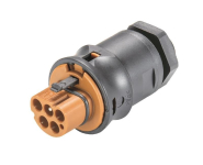 Wieland           RST20I5S S1 M00VL BR01 