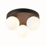 Paulmann WD Gove IP44 Deckenl max  71069 