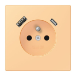 Jung Steckdose       LC 1520 F-15 CA 258 