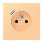 Jung Steckdose        LC 1520 F-18 C 258 