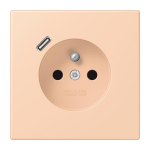 Jung Steckdose        LC 1520 F-18 C 234 