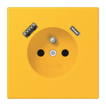 Jung Steckdose       LC 1520 F-15 CA 263 