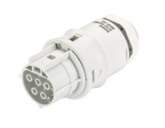 Wieland Buchsenteil   RST20I5S B1 M00 GL 