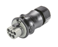 WIEL St. T. m.    RST25I5S S1 ZR2SV BG03 