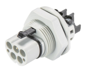 Wieland Steckerteil  RST20I5S S1 M01V GL 