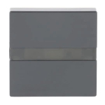 BJ Komfortschalter flex         64765-81 