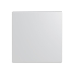 BJ Abdeckung 1-fach     LFW/A.1.63.11-83 