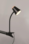 Trio LED Klemmleuchte PONGO,   R25831102 