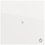 GIRA 367470 Wippe Kontrollf.+Symb.Licht 
