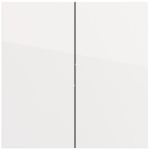 GIRA 329570 Wippe 2f Flächenschalter 