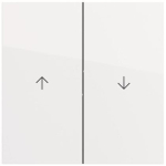 GIRA 329470 Wippe 2f Pfeil 