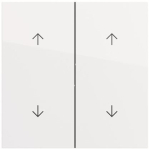 GIRA 329770 Wippe 2f Pfeile 