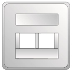 ELSO Zentralplatte UAE 2xRJ45     366514 