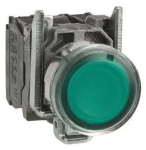 GS Leuchtdrucktaster grün      XB4BW33M5 
