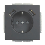 BJ Schuko/USB Steckdose  20 EUCB2USB-885 