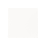 BJ Blindzentralscheibe          1749-44M 