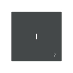 BJ Wippe m.Symbol "Licht" m. 1789 LI-45M 