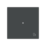 BJ Wippe 1-fach m.Symbol     6234-10-45M 