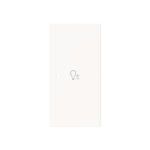 BJ Wippe 2-fach rechts       6234-22-44M 