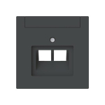BJ Zentralscheibe 2-fach UAE 1803-02-45M 