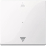 Elso Wippe für Taster-Modul    ELG367504 