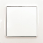 Eltako Funktaster rws        F2T55EOR-wg 