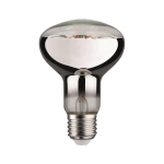 Paulmann LED Fil Plant R80 E27     28733 