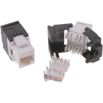 Peha Keystone Buchse   D 1951.19 RJ45 C6 