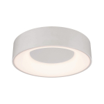 Paulmann WallCeiling HomeSpa Casca 78946 