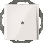 Merten Zentralplatte Leitungs-    296319 