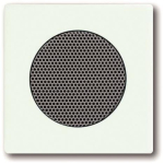 BJ Zentralscheibe f.            8253-884 