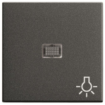 GIRA 063028 Wippe Kontrollfenster groß+ 