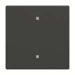 BJ Wippe Elektroniktaster    2570-10-885 