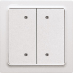 Eltako Bus-Taster in           B4T55E-wg 