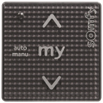 SOMFY Smoove Uno IB + (schwarz) 